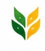 Logo YAKESMA
